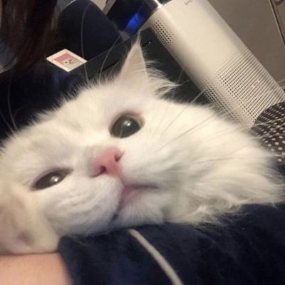 Win10 RS4????Ԥ???????17040???????ݽ??? Windows10 RS4????Ԥ????17040??????ʲô