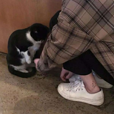 223正版免费下载