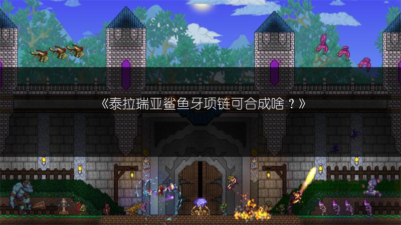 泰拉瑞亚鲨鱼牙项链可合成啥？