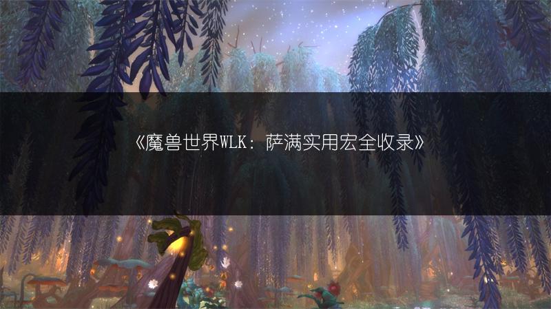 《魔兽世界WLK:萨满实用宏全收录》
