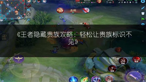 《王者隐藏贵族攻略：轻松让贵族标识不见》