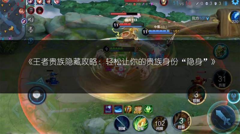 《王者贵族隐藏攻略：轻松让你的贵族身份“隐身”》