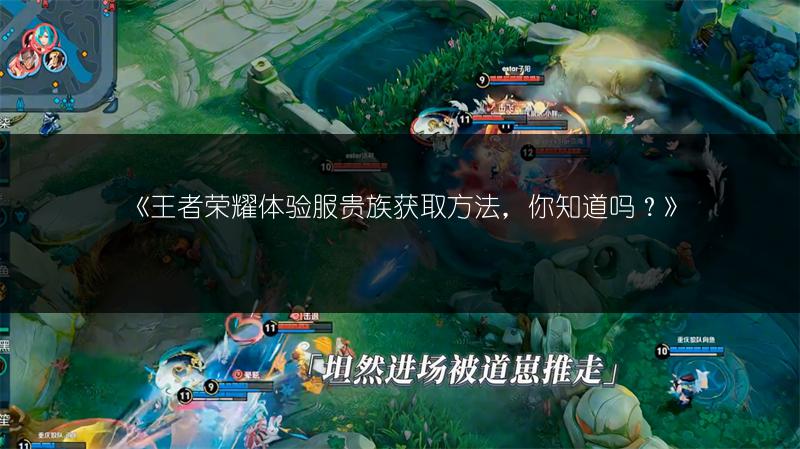 《王者荣耀体验服贵族获取方法，你知道吗？》