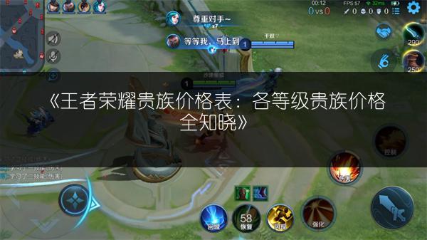 《王者荣耀贵族价格表：各等级贵族价格全知晓》