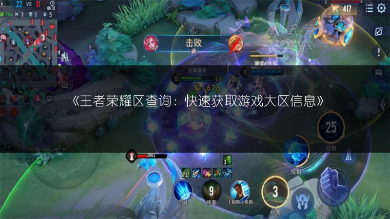 《王者荣耀区查询：快速获取游戏大区信息》