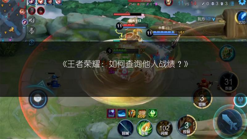 《王者荣耀：如何查询他人战绩？》