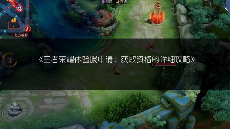 《王者荣耀体验服申请：获取资格的详细攻略》