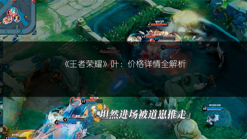 《王者荣耀》叶：价格详情全解析