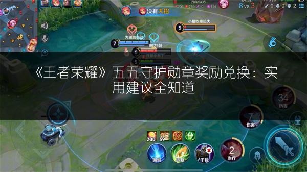 《王者荣耀》五五守护勋章奖励兑换：实用建议全知道