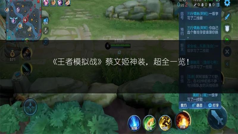 《王者模拟战》蔡文姬神装，超全一览！