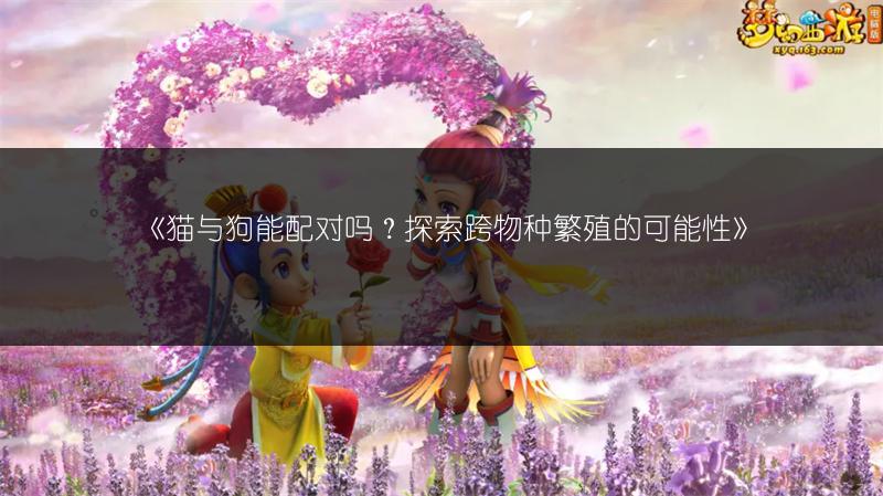 《梦幻西游手游》九黎之墟联盟攻略，轻松上手！