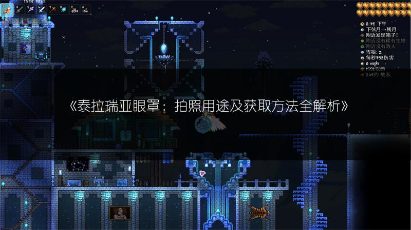 《泰拉瑞亚眼罩：拍照用途及获取方法全解析》