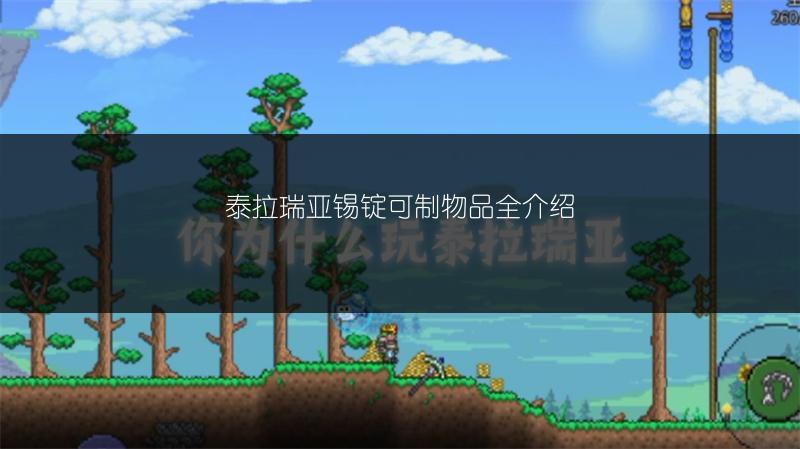 泰拉瑞亚锡锭可制物品全介绍