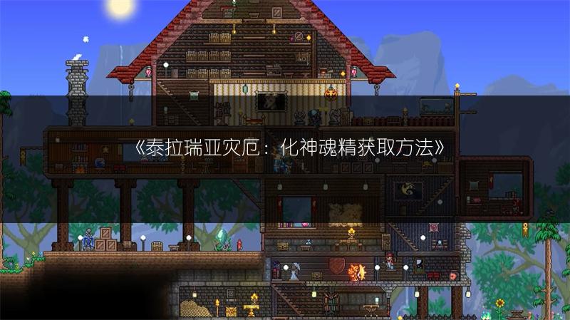 《泰拉瑞亚灾厄：化神魂精获取方法》