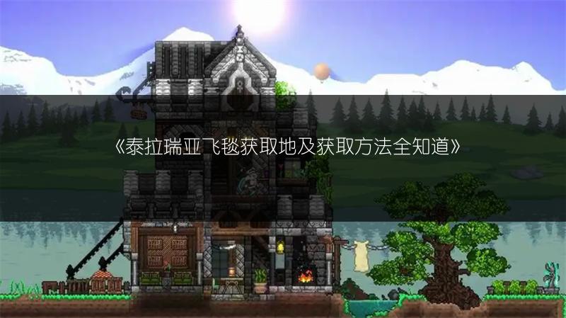 《泰拉瑞亚飞毯获取地及获取方法全知道》