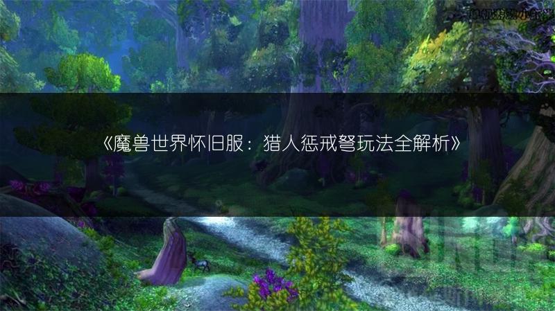 《魔兽世界怀旧服：猎人惩戒弩玩法全解析》