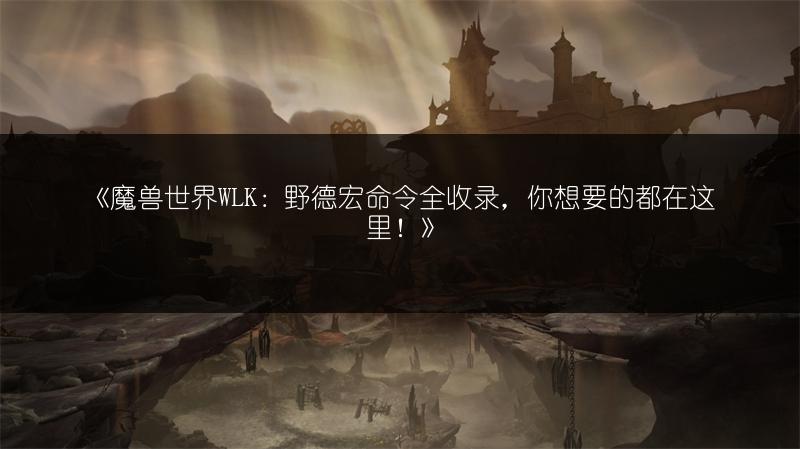 《魔兽世界WLK：野德宏命令全收录，你想要的都在这里！》