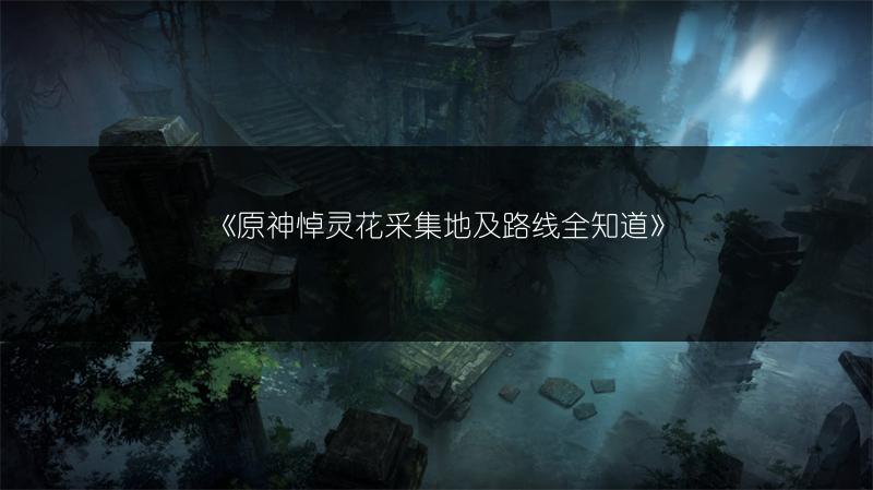 《原神悼灵花采集地及路线全知道》