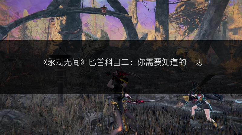 《永劫无间》匕首科目二：你需要知道的一切