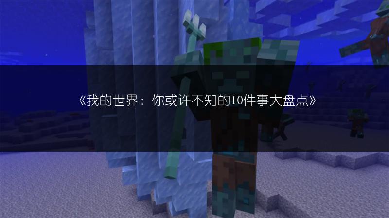 《我的世界：你或许不知的10件事大盘点》