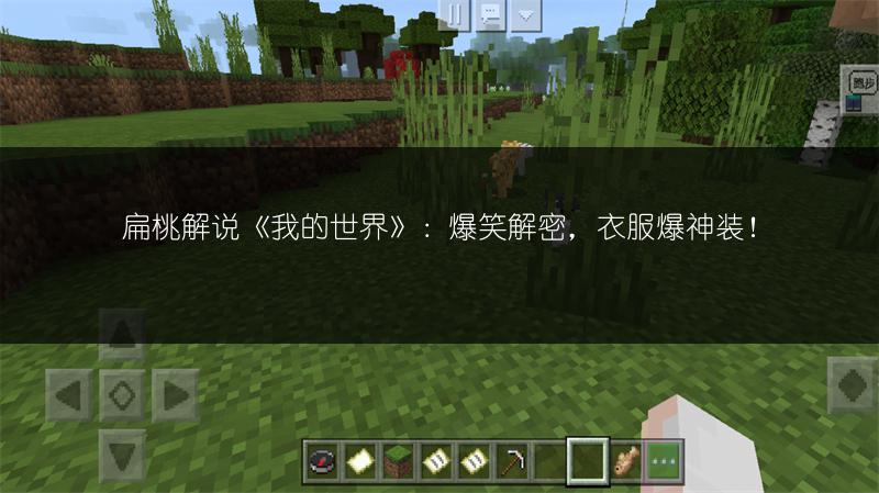 扁桃解说《我的世界》：爆笑解密，衣服爆神装！