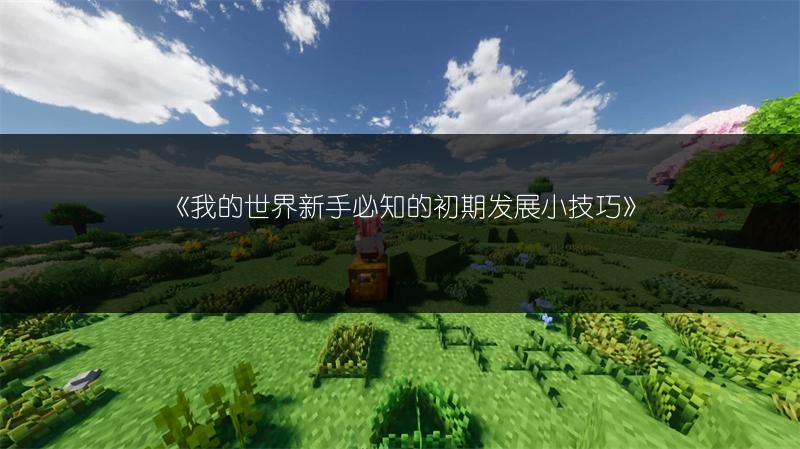 《我的世界新手必知的初期发展小技巧》