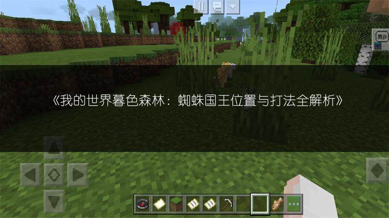 《我的世界暮色森林：蜘蛛国王位置与打法全解析》