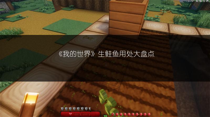 《我的世界：凋零骷髅制作与最新打法全解析》