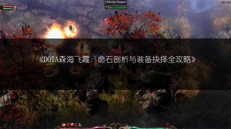 《DOTA森海飞霞：命石剖析与装备抉择全攻略》
