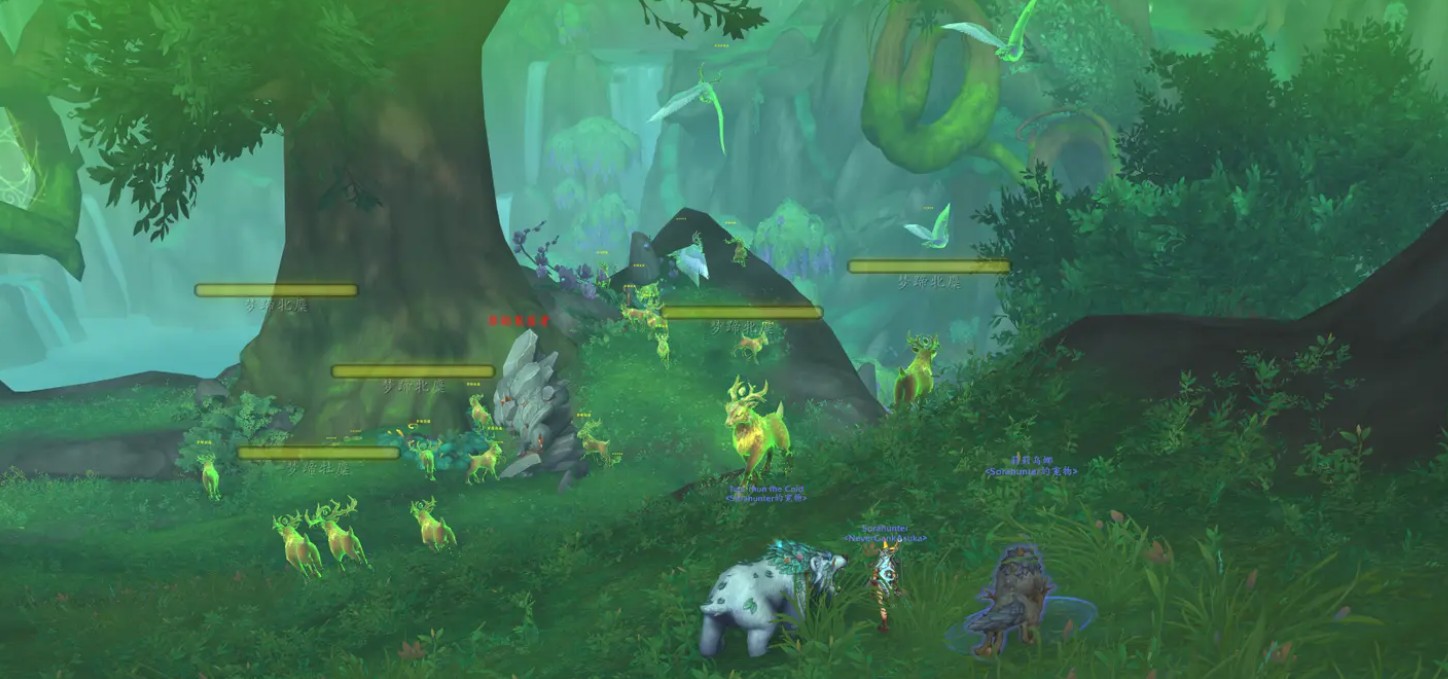 魔兽世界翡翠林